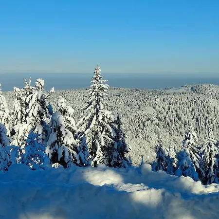 Le Hangar 67 A - Location Atypique Proche *