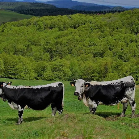 Le Hangar 67 A - Location Atypique Proche Holiday home Saulxures-sur-Moselotte