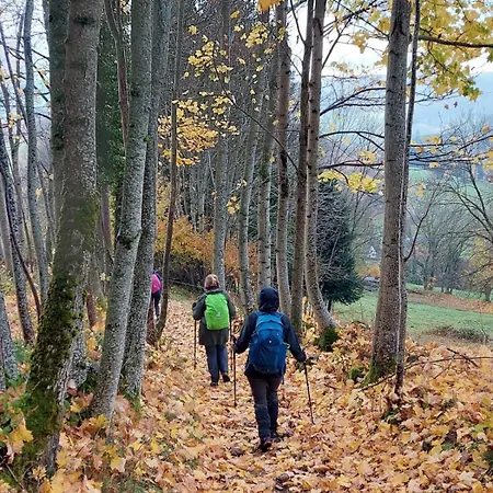 Сasa de vacaciones Le Hangar 67 A - Location Atypique Proche Saulxures-sur-Moselotte