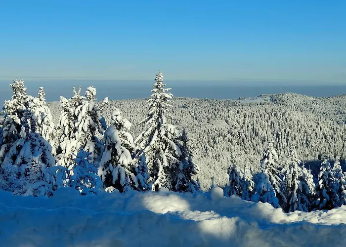 Le Hangar 67 A - Location Atypique Proche *